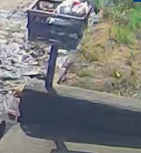 Homem que espancou cachorro com pedaço de pau em Arapiraca é identificado pela polícia