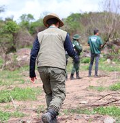 FPI do Rio São Francisco embarga 1.025 hectares de terra em Alagoas por desmatamento de vegetação nativa