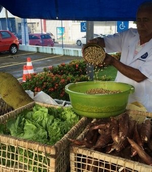 Pequeno agricultor pode fornecer itens para cestas nutricionais do governo de Alagoas