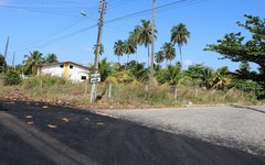 Pró-Estrada em Japaratinga beneficia 10 km