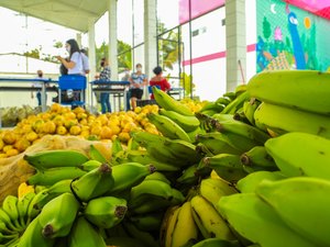 Penedo já distribuiu mais de 140 toneladas de alimentos da agricultura familiar nas escolas