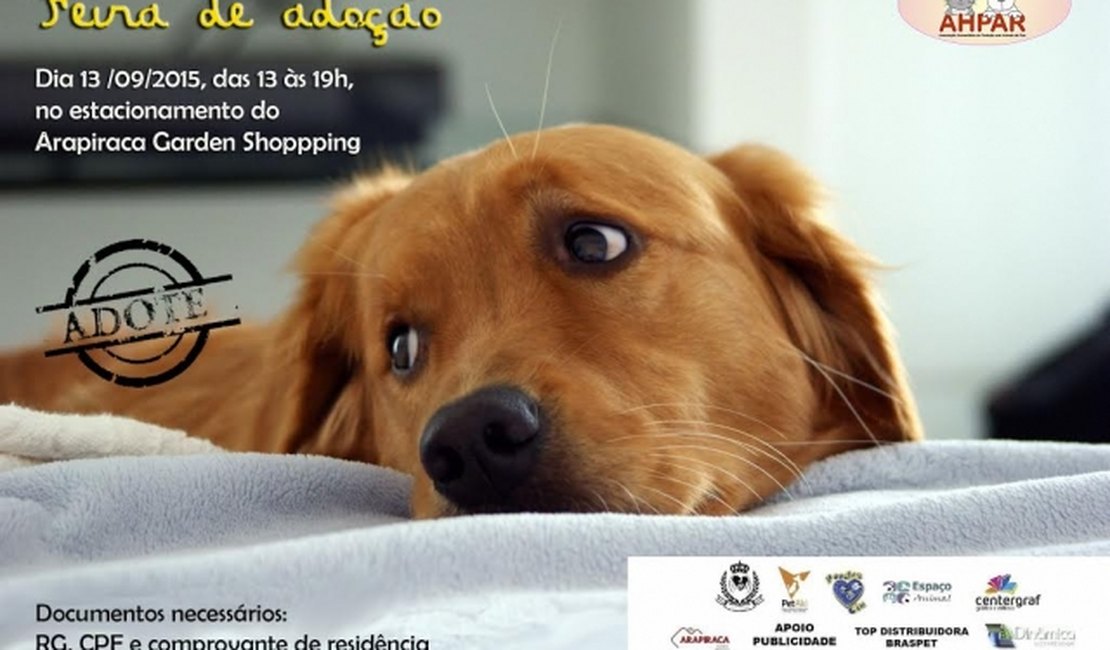 Associação promove feira de adoção de cães e gatos em Arapiraca