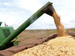Produtor pode solicitar recursos do Plano Safra 2017/2018 a partir desta segunda (03)