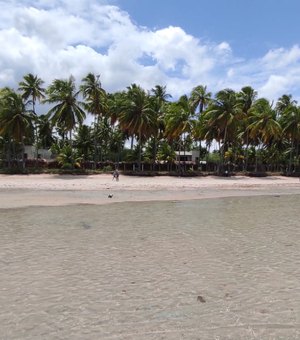 Maragogi: MPF investiga construção de muro de 400 metros na Praia da Bruna