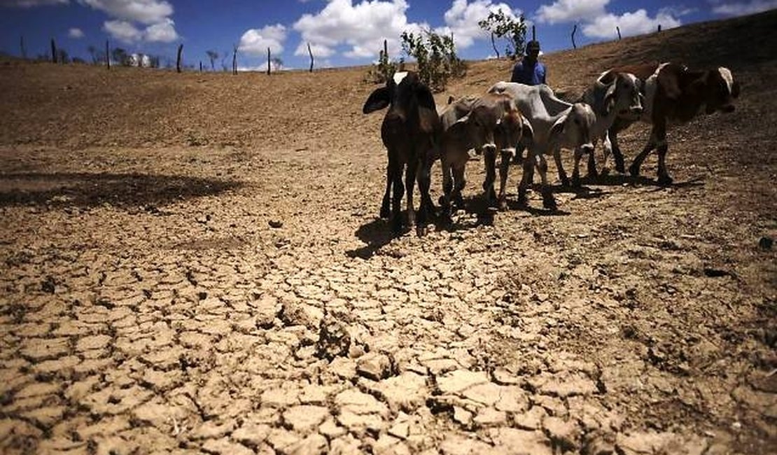 45 municípios alagoanos estão em situação de emergência