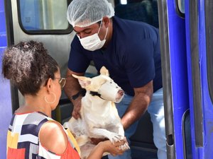 Programa Castra Pet abre novo cadastro para castração de cães e gato em Penedo