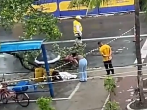 Mulher fica ferida após ser atingida por galho de árvore no bairro da Pajuçara