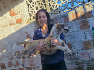 Naíne Teles, conhecida protetora de animais, morre em Maceió aos 38 anos