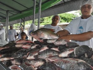 Com qualidade e preço baixo, Feira do Peixe Vivo atrai muitos consumidores