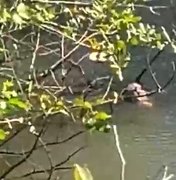 Corpo é encontrado em rio no povoado Santa Luzia, na Barra de Santo Antônio