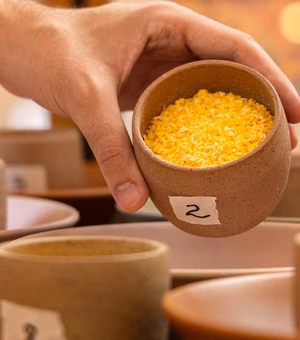 Flocão Coringa, de Arapiraca, fica entre os melhores do país em teste nacional