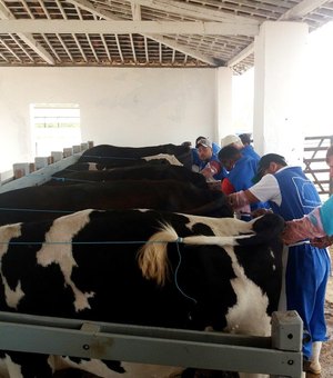 Produtores rurais aprendem técnicas de inseminação artificial de bovinos