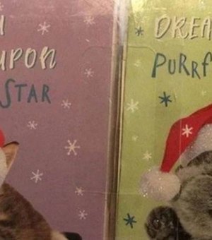 Em Londres, menina encontra pedido de socorro em cartão de Natal