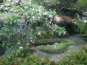 Herbário MAC e Jardineto do IMA são realocados com seguridade