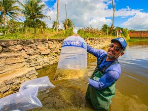 Prefeitura e Codevasf realizam a entrega de 22 mil alevinos aos produtores rurais de Arapiraca