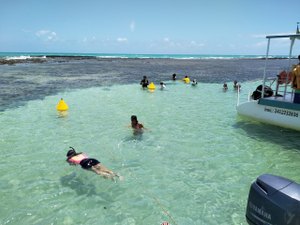 [Vídeo] Conheça as belezas exuberantes das piscinas naturais de Japaratinga