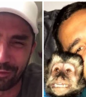 [Vídeo] Aos prantos, Latino pede ajuda para encontrar macaco desaparecido 