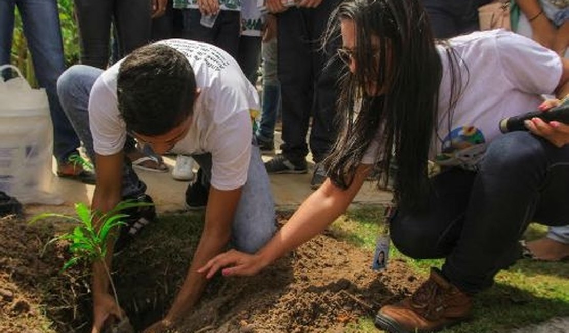 Estudantes plantam mudas nativas no Bosque das Arapiracas