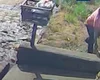 Homem que espancou cachorro com pedaço de pau em Arapiraca é identificado pela polícia