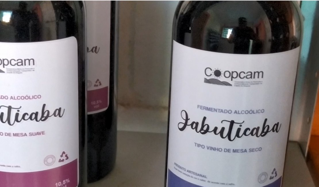 [Vídeo] Vinho de Jabuticaba leva renda e destaque a produtores da região Serrana de Palmeira dos Índios