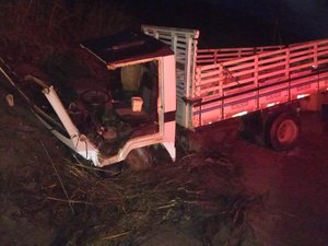 Caminhão colide com barreira em trecho da AL-105