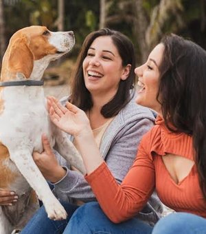 Prefeitura de Palmeira enviará à Câmara projeto que cria Código de Defesa e Bem-Estar Animal