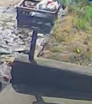 Homem é flagrado agredindo cachorro com pedaço de madeira em Arapiraca