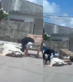 Moradores denunciam maus-tratos a cavalo e acúmulo de lixo no Benedito Bentes