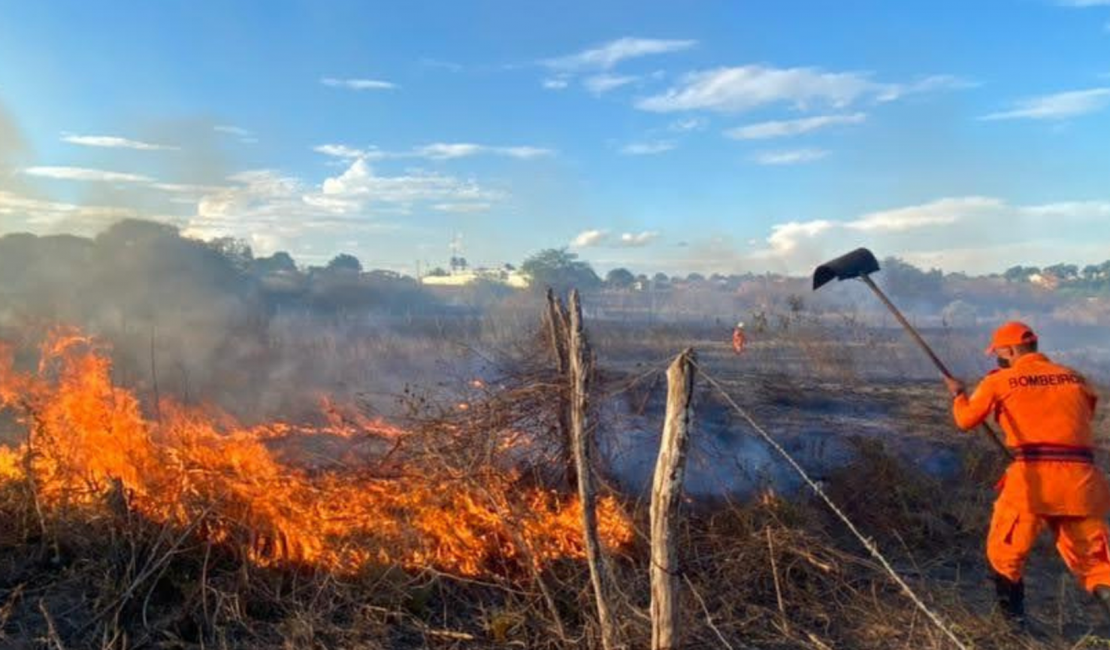 Corpo de Bombeiros atua no combate ao fogo em Maragogi