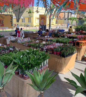 Feira de Flores Holambra chega a Arapiraca com plantas a partir de R$ 5