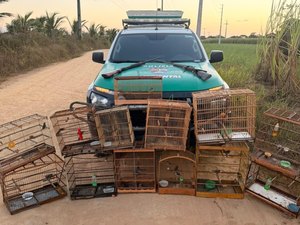 Polícia apreende duas armas e resgata 59 animais silvestres em Alagoas