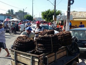 Feira do fumo mantém tradição e resiste a outras culturas