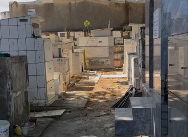 Vereadora denuncia covas rasas e ossadas expostas em cemitério de Maceió