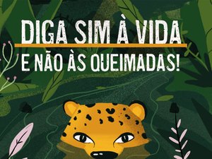 Cartilha é lançada para conscientizar alunos da Amazônia sobre queimadas