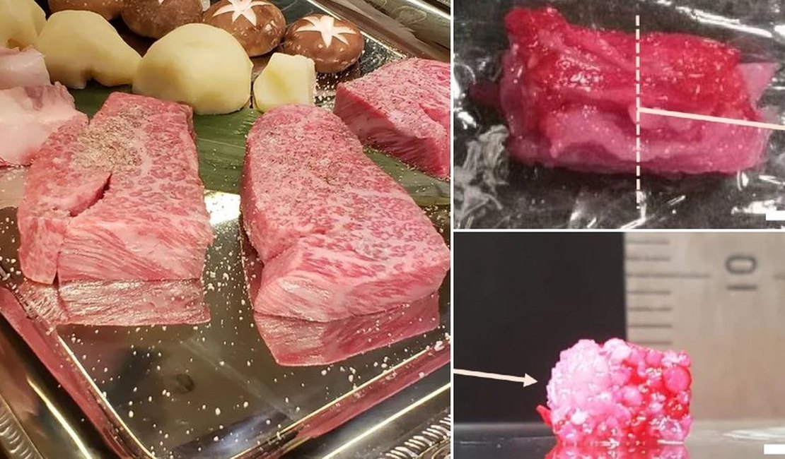Carne wagyu, a mais cara do mundo, ganha versão artificial criada com impressora 3D