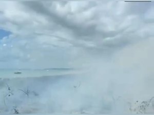 Novos incêndios são registrados em áreas de vegetação em Maragogi