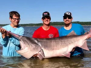 Jovem estreante pesca peixe-espátula de 2 m e 74 kg, e bate recorde mundial