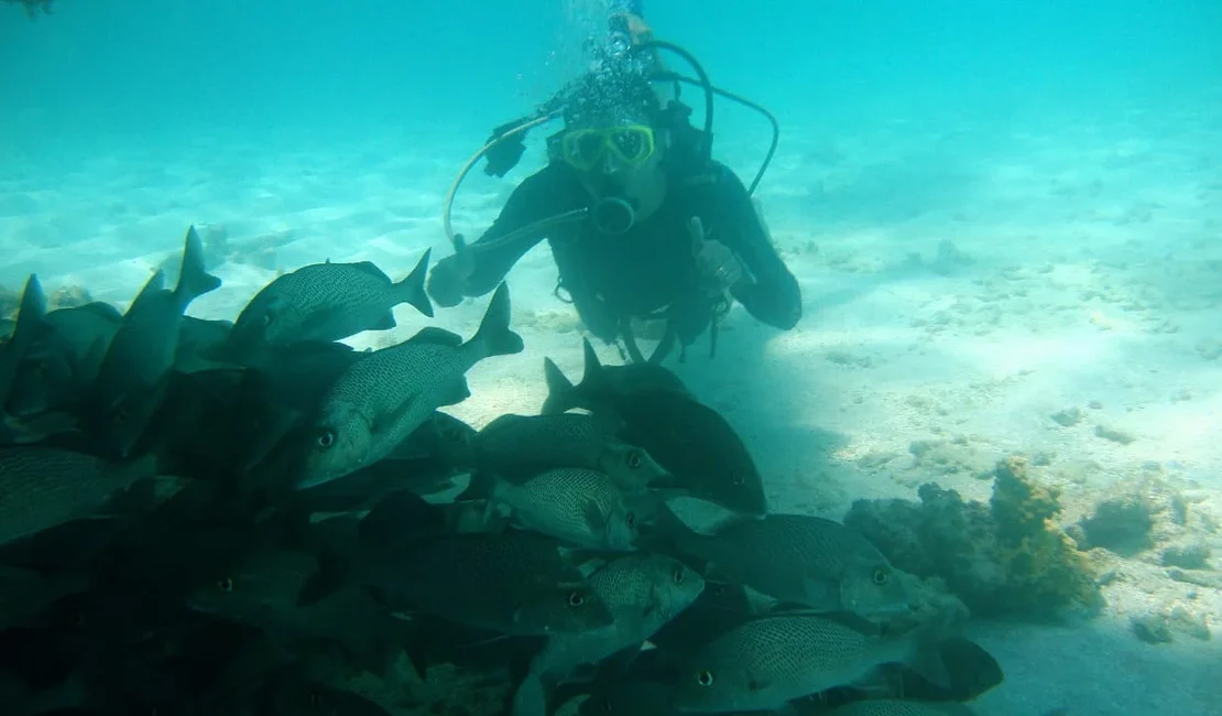 Fundo do mar vira fonte de renda para mergulhadores em Maragogi