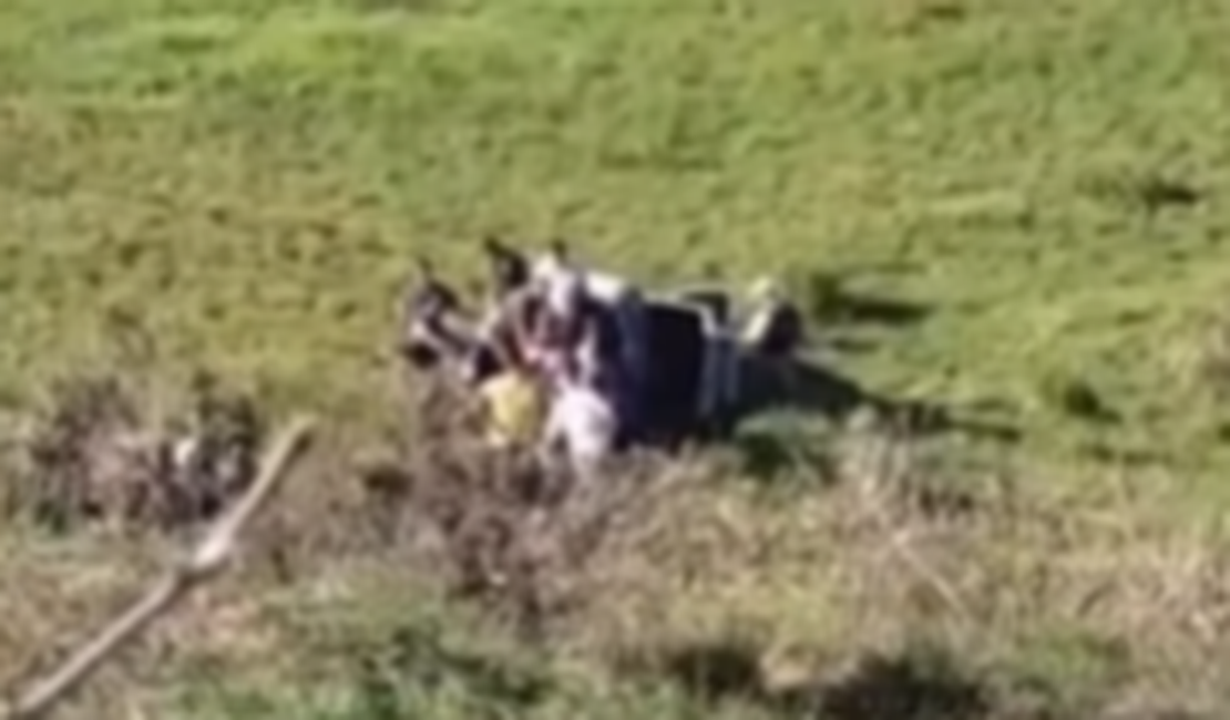 Carro cai em ribanceira após motorista perder o controle na AL-210, em Rio Largo