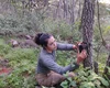 IMA apoia pesquisa sobre monitoramento da fauna silvestre em Serra do Craunã