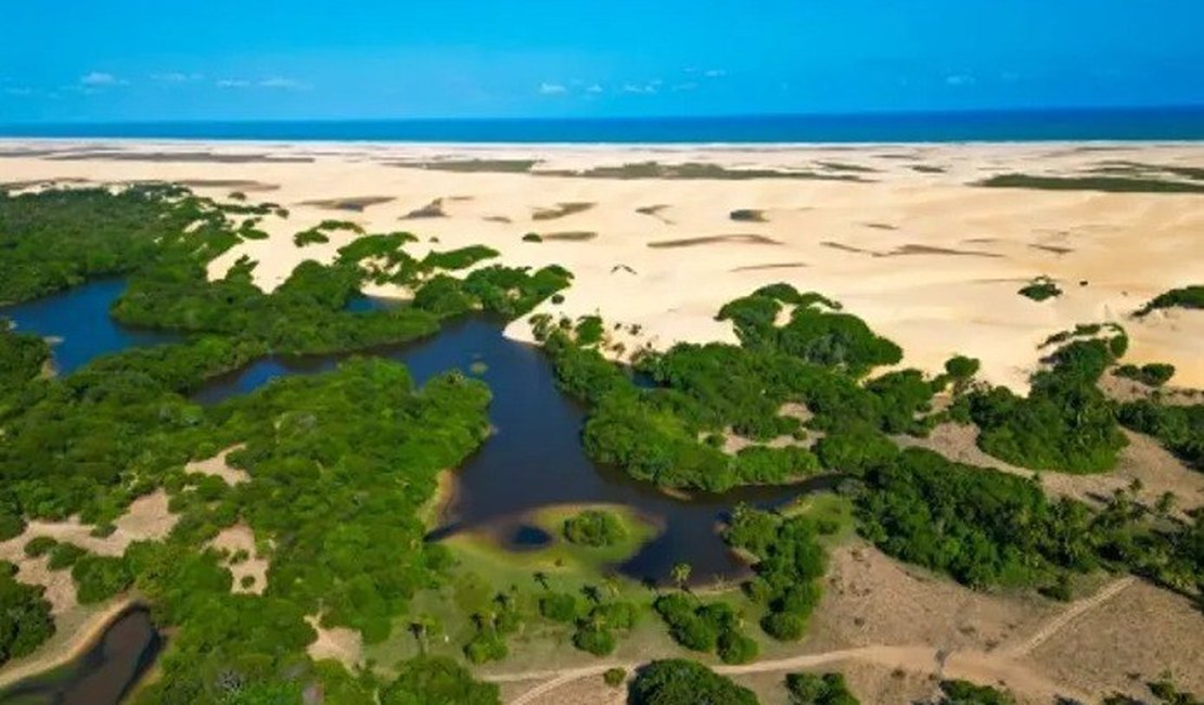 MPF recomenda medidas para proteger APA de Piaçabuçu durante Carnaval