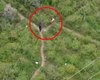 [Vídeo] Drone ajuda a localizar 12 kg de maconha durante ação contra investigados da Operação Sertanejo