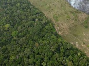 Interesse internacional na Amazônia é legítimo para 75% dos brasileiros