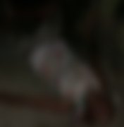 Homem é atacado e espancado até a morte no município de Flexeiras
