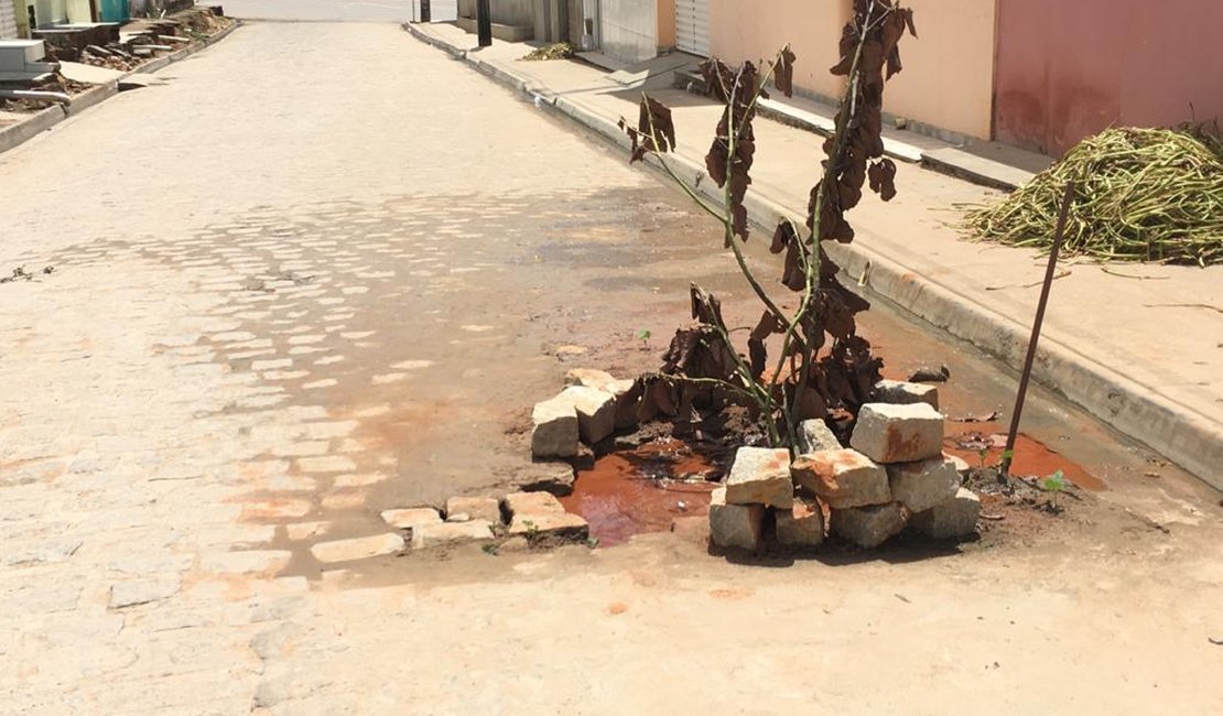 [Vídeo] Vazamento em rede de água da CASAL, causa transtornos na Vila São Francisco, em Arapiraca