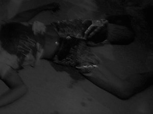 Adolescente de 15 anos é morto no Vergel do Lago