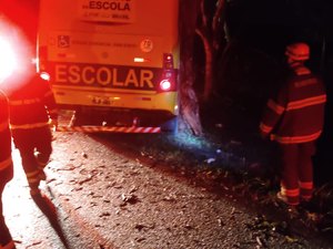 Ônibus com estudantes colide contra árvore na BR-104