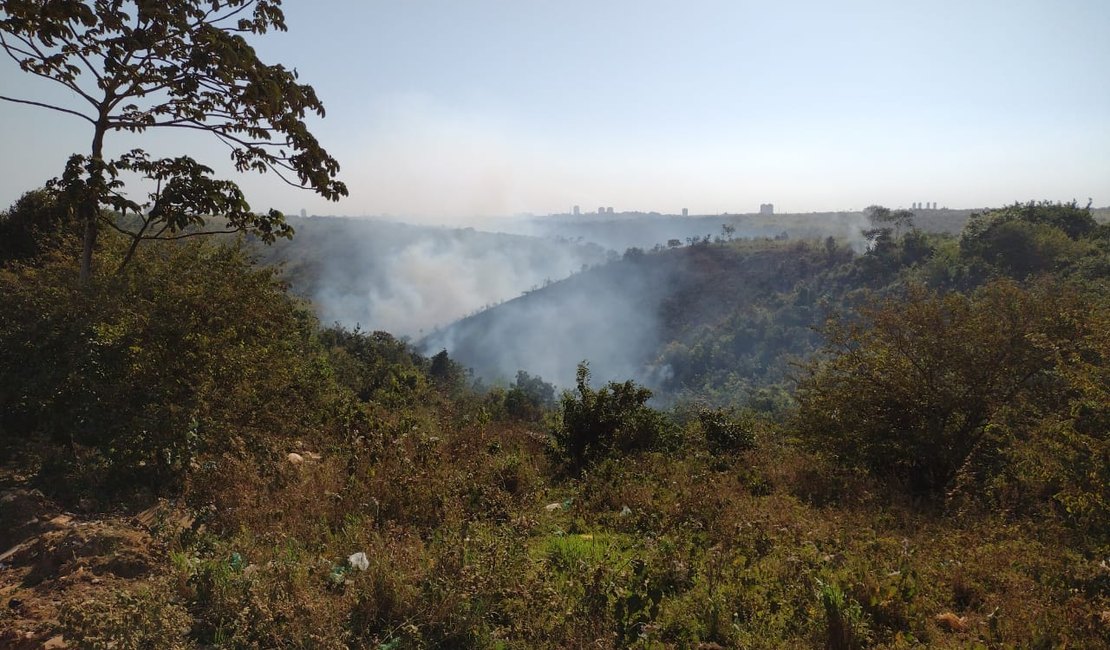 População se assusta com incêndio em vegetação e acionam bombeiros
