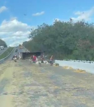 Carreta tomba e derruba milho em rodovia no município de Porto Real do Colégio
