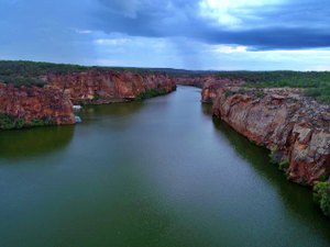 No Dia da Caatinga, IMA ressalta a importância da preservação do bioma 